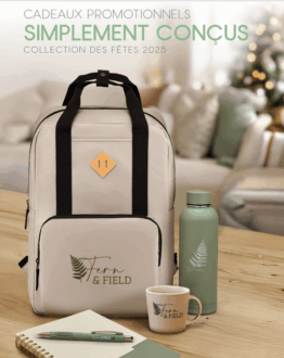 Stylos Goldstar – Élégance & simplicité