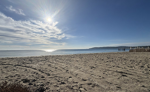 Contacter Ekov et Emilie Vallet